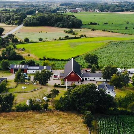 Roedlix Vandrarhem & Camping Tvaaker Exterior foto